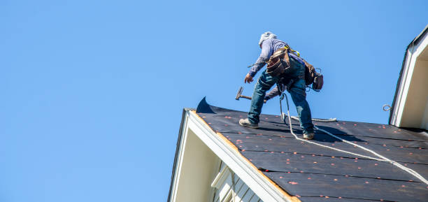 Best Local Roofing Companies  in Worland, WY